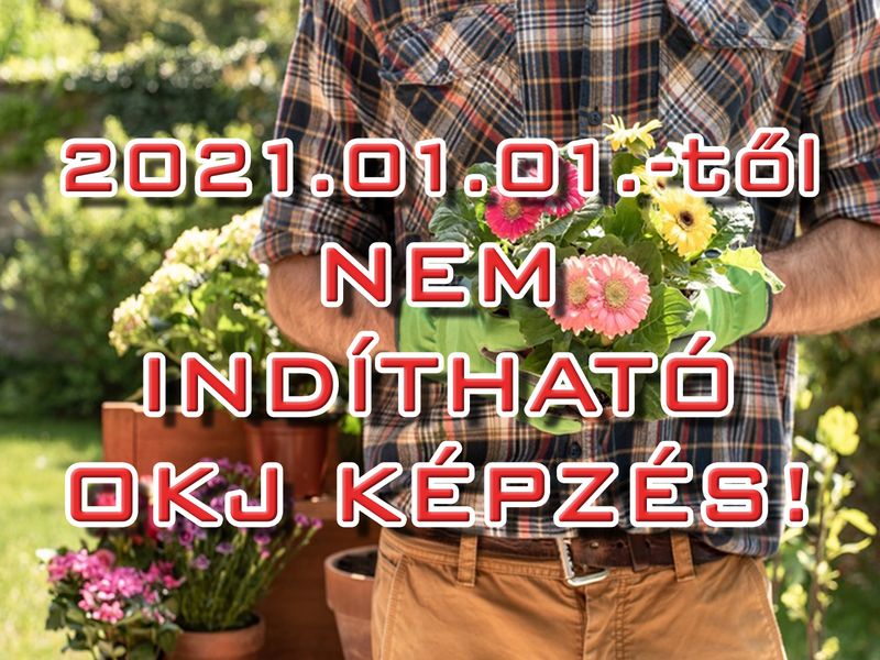 Kertész